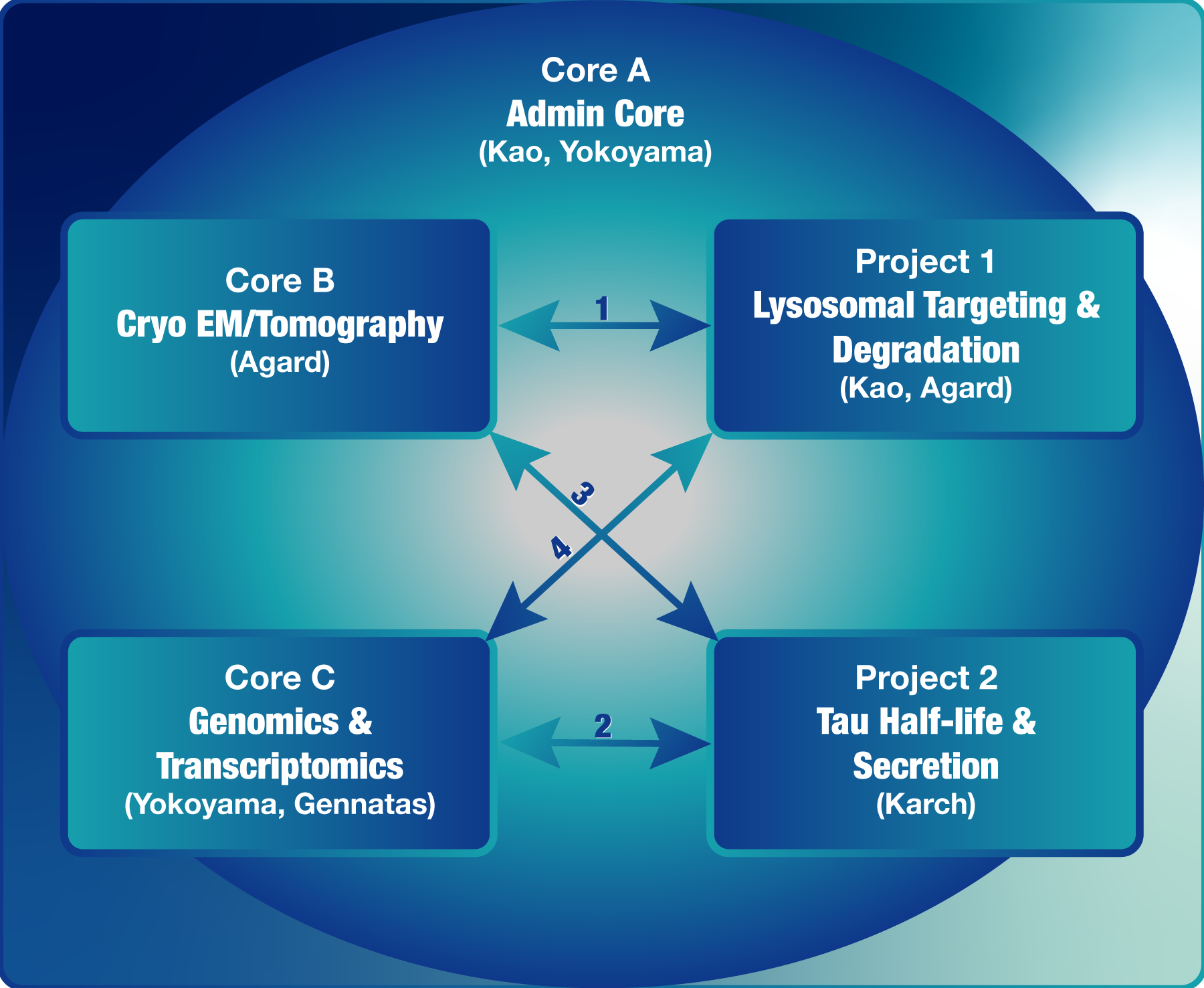 CWOW Organizational Figure